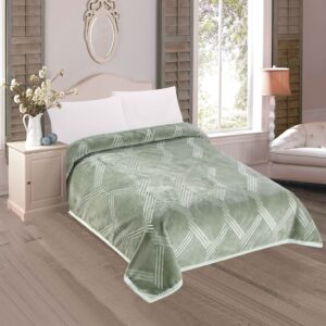 FRAZADA DE TERCIOPELO C.E DOBLE CARA MODELO COREANO 6 KG